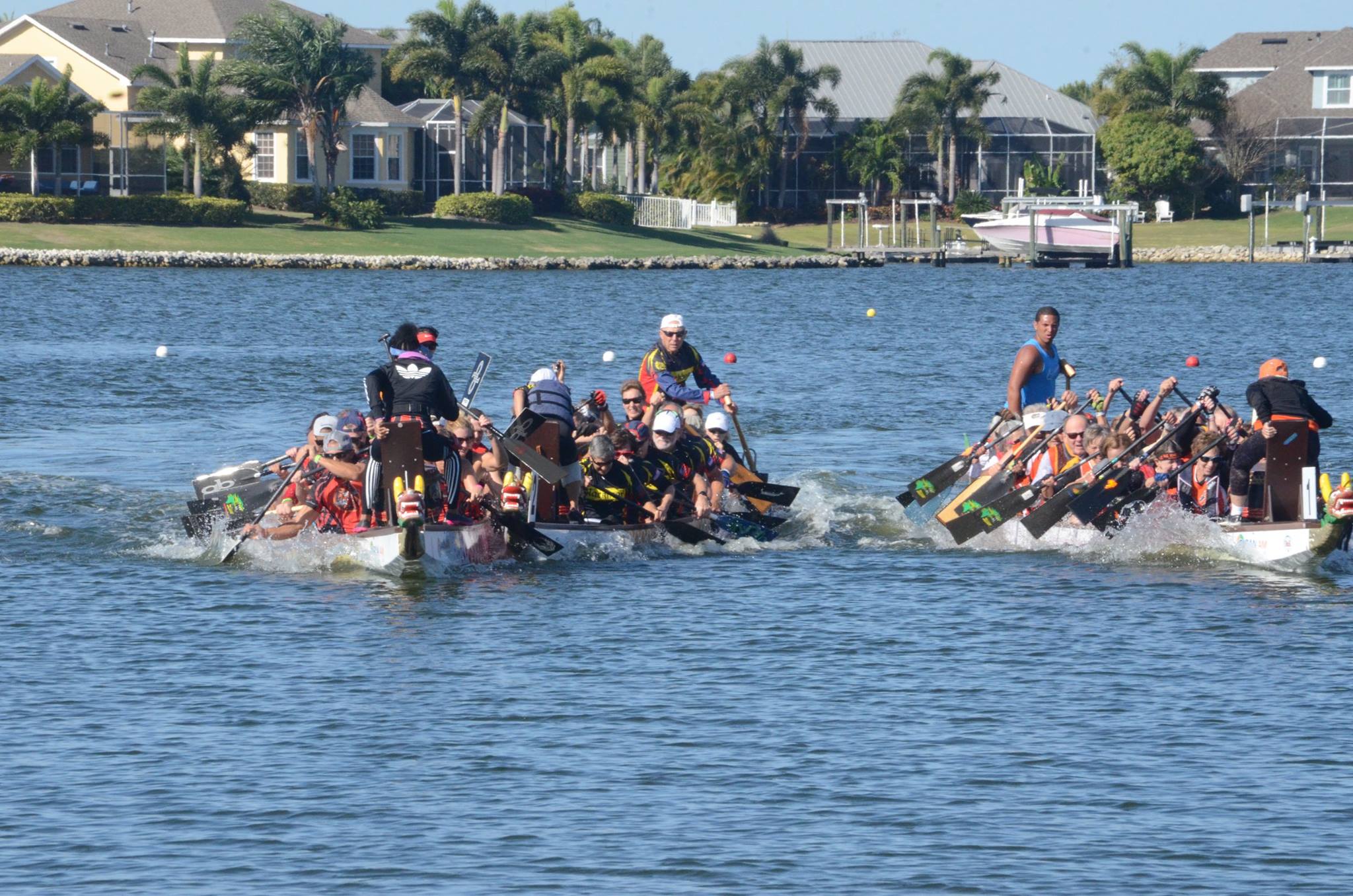 dragon boat festival 2018 florida mirabay dragon boat festival apollo beach fl pan am dragon boat festival 2018 florida mirabay dragon boat festival apollo beach fl pan am